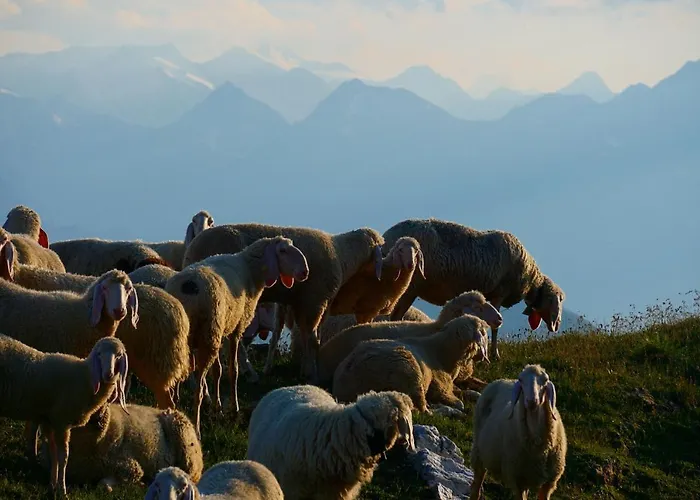 公寓 Haus Staud Schmirn