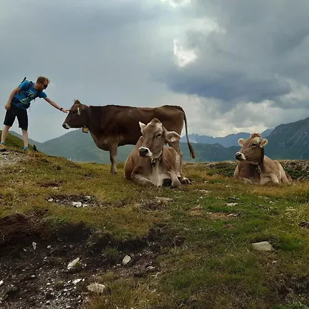 Haus Staud Lejlighed