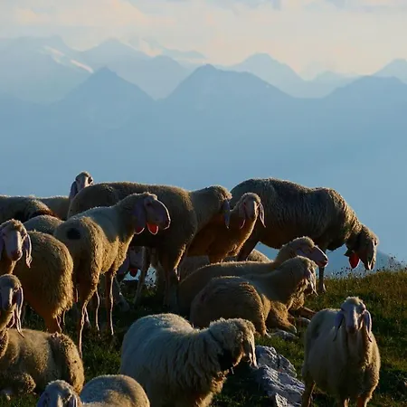 Lejlighed Haus Staud Schmirn