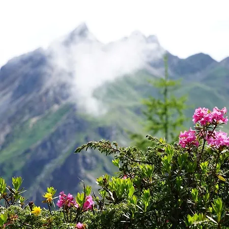 Haus Staud Lejlighed