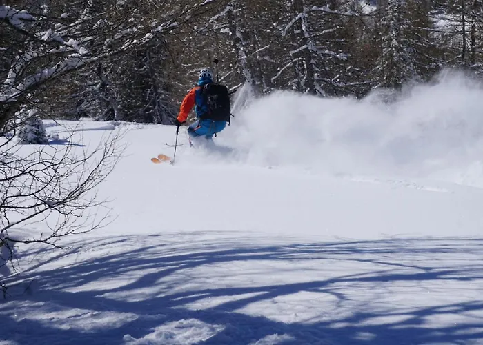 Apartamento Haus Staud *