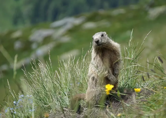 Apartamento Haus Staud Schmirn