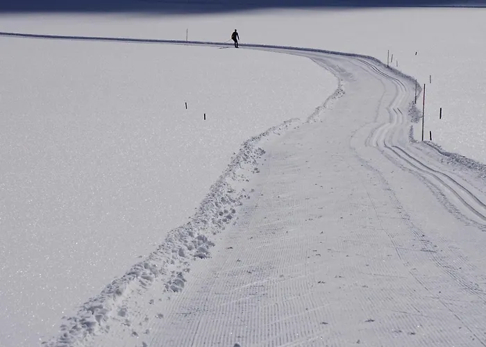 Haus Staud Apartment *